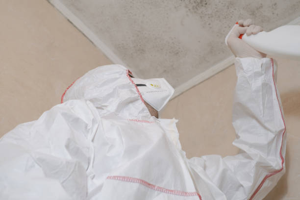 Best Mold Testing and Inspection Services in Laymantown, VA