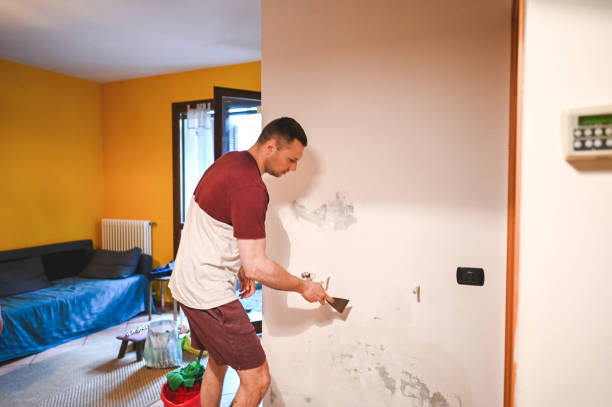 Best Health and Safety Mold Remediation in Laymantown, VA