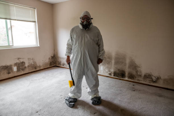 Laymantown, VA Mold Remediation Company